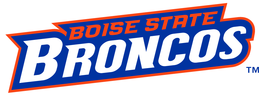 Boise State Broncos 2012-2013 Wordmark Logo v2 t shirts iron on transfers